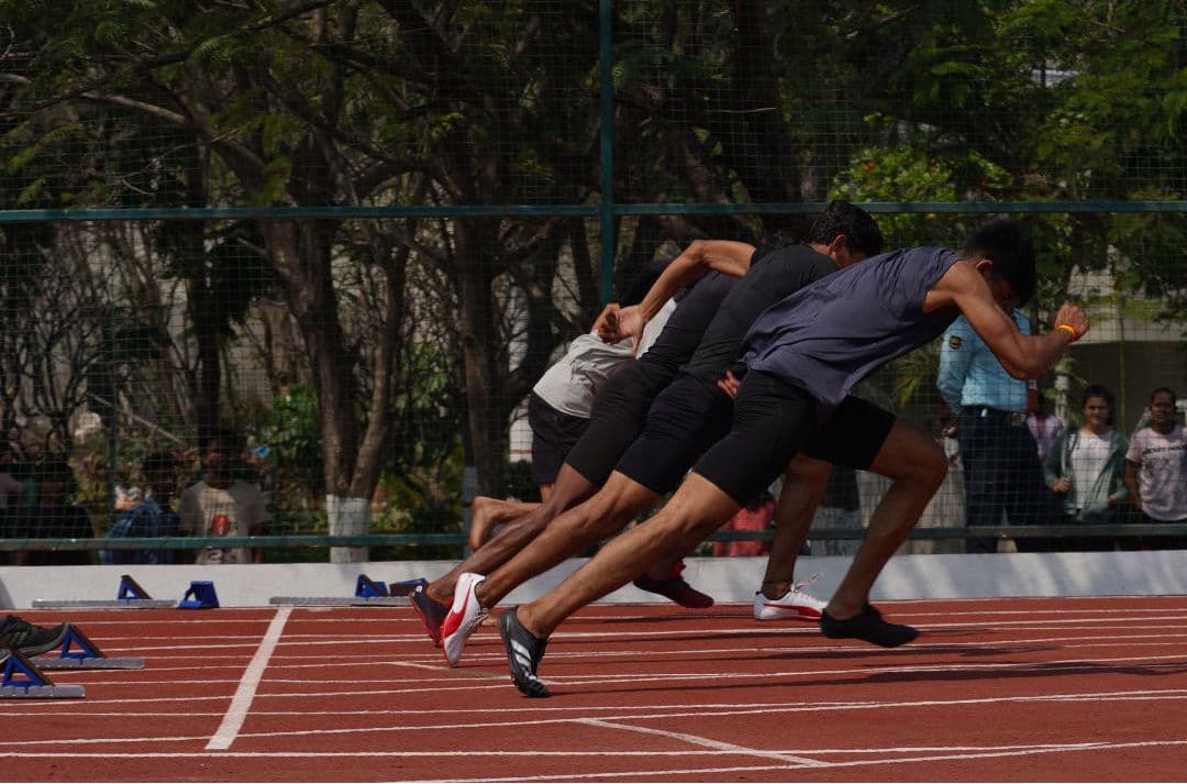 Fest hero background